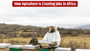 honey-apiculture-jobs-creation-africa-aftra-support-economic-growth