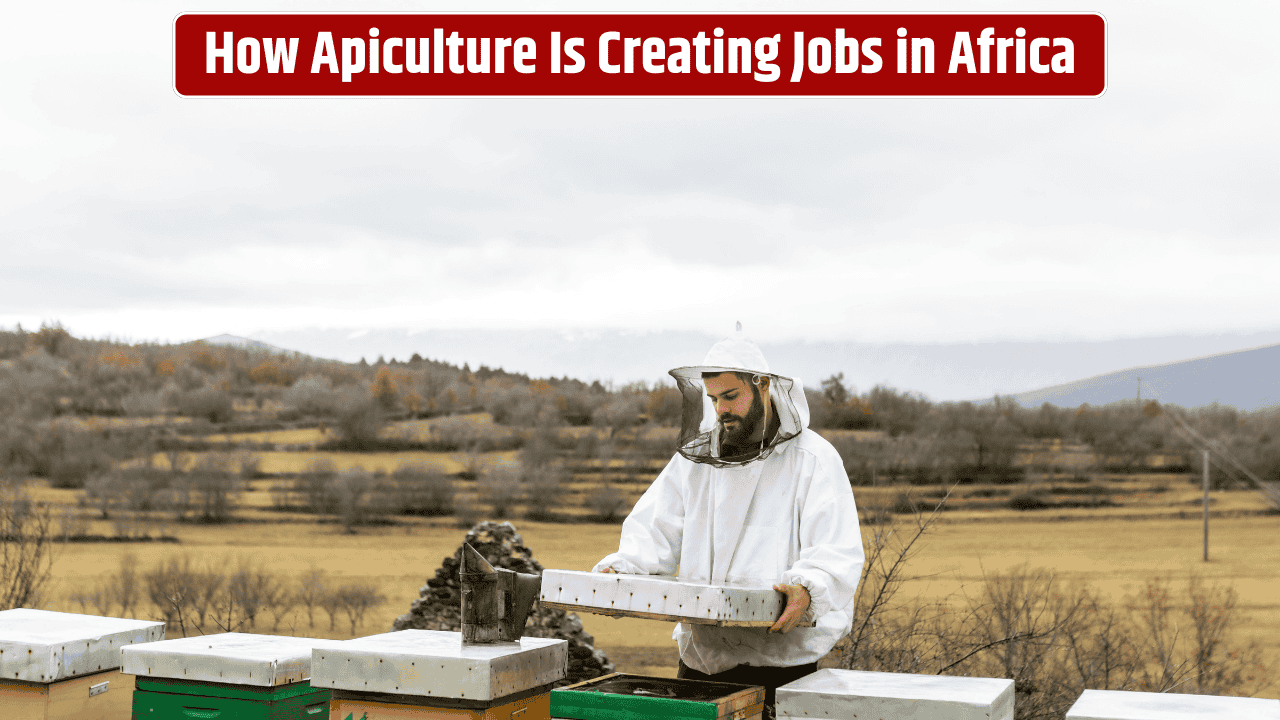 honey-apiculture-jobs-creation-africa-aftra-support-economic-growth