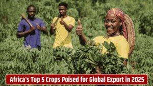 5-agricultural-crops-africa-ready-conquer-global-export-markets-2025