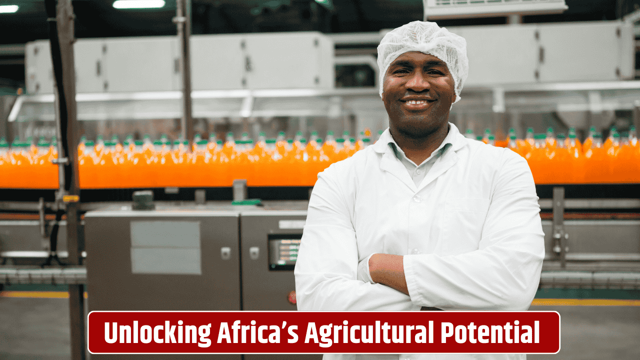 value-addition-explained-the-key-to-unlocking-africas-agricultural-and-trade-success-stories