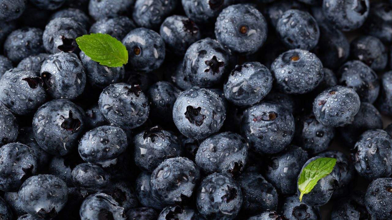 Best Way to Clean Blueberries – How to Eliminate Pesticides and Stop Mold