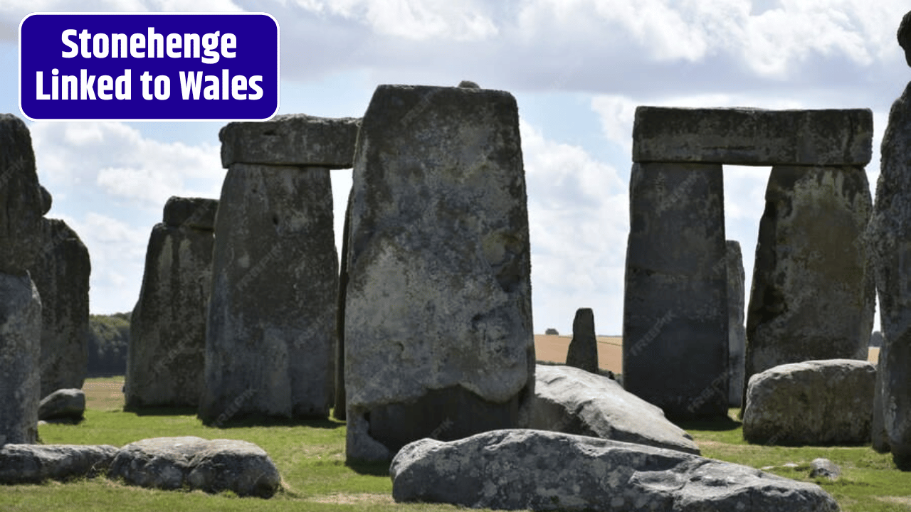 Stonehenge’s Ancient Origins Linked to Cattle Routes from Wales